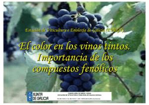 El color en los vinos tintos. Importancia de los compuestos fenólicos