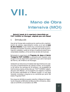 Mano de obra Intensiva (MOI) (PDF, 20 Páginas, 1018 KB)