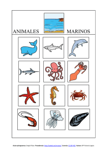 animales marinos