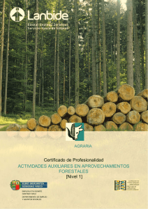 Actividades auxiliares en aprovechamientos forestales