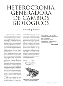 HETEROCRONÍA, GENERADORA DE CAMBIOS BIOLÓGICOS