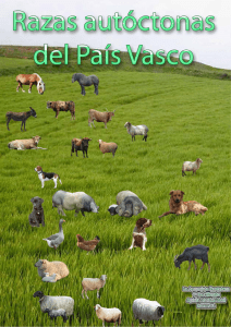 Las razas autóctonas del País Vasco