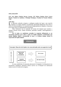 Inflamación I 2012 - Cátedra de Anatomía y Fisiología Patológicas.