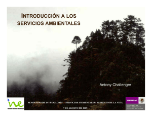 Introducción a los servicios ambientales