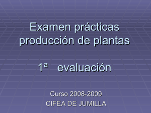 Examen prácticas producción de plantas