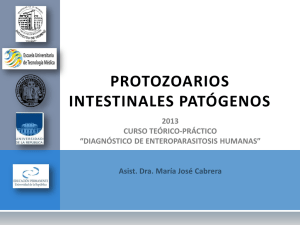 protozoos patògenos primarios