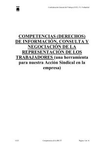 COMPETENCIAS (DERECHOS) DE INFORMACIÓN, CONSULTA Y