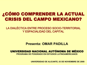 Campo mexicano (Omar) - RUA