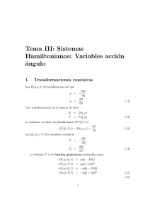 Tema III: Sistemas Hamiltonianos: Variables acción ángulo