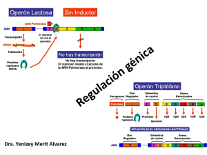 Regulación génica
