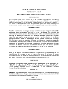 INSTITUTO NACIONAL DE BOSQUES (INAB)