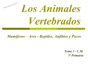 Mamíferos – Aves - Reptiles, Anfibios y Peces