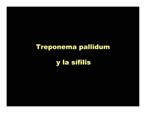 Treponema pallidum y la sífilis