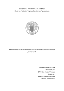 UNIVERSITAT POLITÈCNICA DE VALÈNCIA documento final