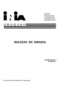 St 25. Malezas en girasol - Catálogo de Información Agropecuaria