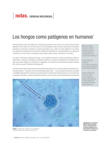 Los hongos como patógenos en humanos