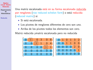 Algebra Lineal: Matriz Reducida