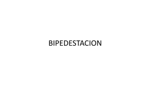 Bipedestación - Dra. Cristina Oleari