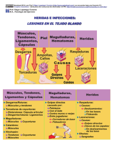 LESIONES EN EL TEJIDO BLANDO Músculos, Tendones