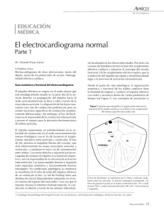 El electrocardiograma normal. Parte 1