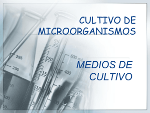 CULTIVO DE MICROORGANISMOS