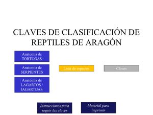 reptiles de Aragón