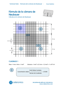Fórmula de la cámara de Neubauer