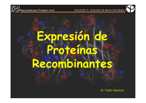 Expresión de Proteínas Recombinantes