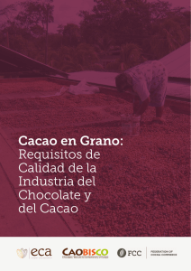 Cacao en Grano