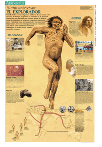 Homo antecessor - Diario de Atapuerca