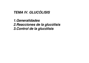 fase de beneficios de la glucólisis