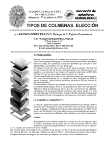 TIPOS DE COLMENAS. ELECCIÓN
