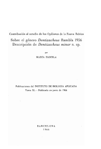 Rambla (1966) Dentizacheus minor