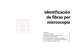 Identificación de fibras por microscopía
