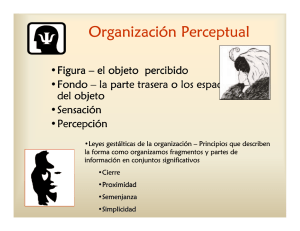 Organización Perceptual