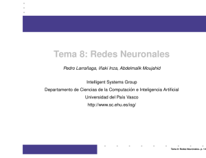Tema 8: Redes Neuronales