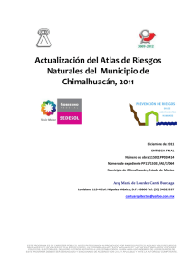 Actualización del Atlas de Riesgos Naturales del Municipio de