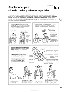 65 Adaptaciones para sillas de ruedas y asientos especiales