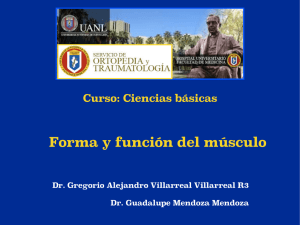Forma y función del músculo - Facultad de Medicina de la UANL