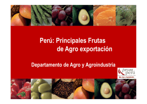 Perú: Principales Frutas de Agro exportación g p
