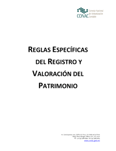 reglas específicas del registro y valoración del patrimonio