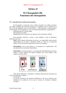 TEMA 27 El Citoesqueleto III: Funciones del citoesqueleto