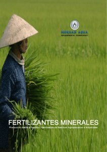 fertilizantes minerales