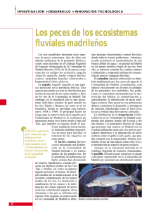 Los peces de los ecosistemas fluviales madrileños