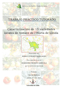 Caracterización de 15 variedades locales de tomate de l‟Horta de
