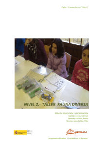 NIVEL 2.- TALLER FAUNA DIVERSA