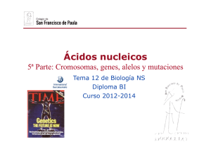 (5ªParte.Cromosomas, genes y alelos\) 12-14