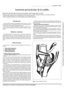 Anatomía periarticular de la rodilla