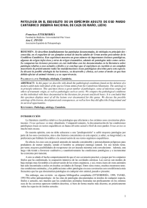 Etxeberría F. et al. - Universidad Complutense de Madrid