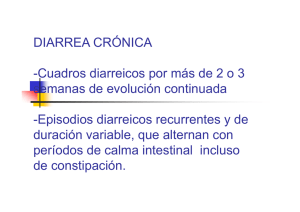 DIARREA CRÓNICA -Cuadros diarreicos por más de 2 o 3 semanas